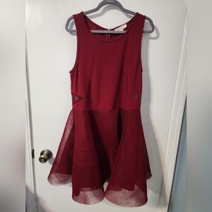 Nicki Minaj Burgundy Mesh Dress